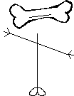 Mr Bone Head