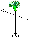 Mr Broccoli Head