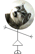 Ms Valentine On Catnip Head