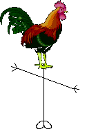 Mr Chicken Head