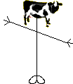 Mr Cow Head