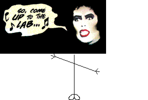Mr Dr Frank N. Furter Head