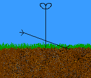 Mr The Ground Head