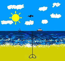 Mr The Horizon Head At The Beach