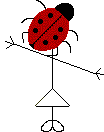 Mr Ladybird Head