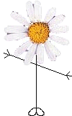 Mr He Loves Me, He Loves Me Not Head