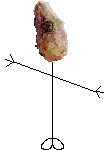 Mr Mediterranean Gecko Head