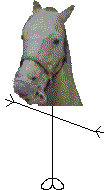 Mr Mr Ed Head