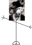 Mr Orson Wells Cow Head
