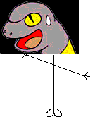Mr Pokemon Head