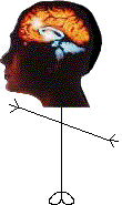 Mr Smarty Pants Head