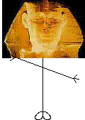 Mr Sphinx Head