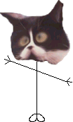 Mr Ugly Cat Head