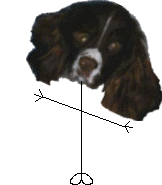 Mr Ugly Dog Friend Of Ugly Cat Head